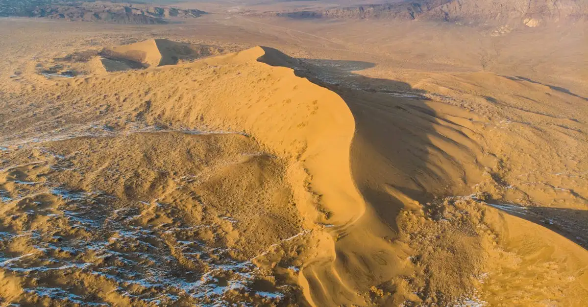 Qual è il deserto del Kazakistan e Uzbekistan con il Mar d'Aral?