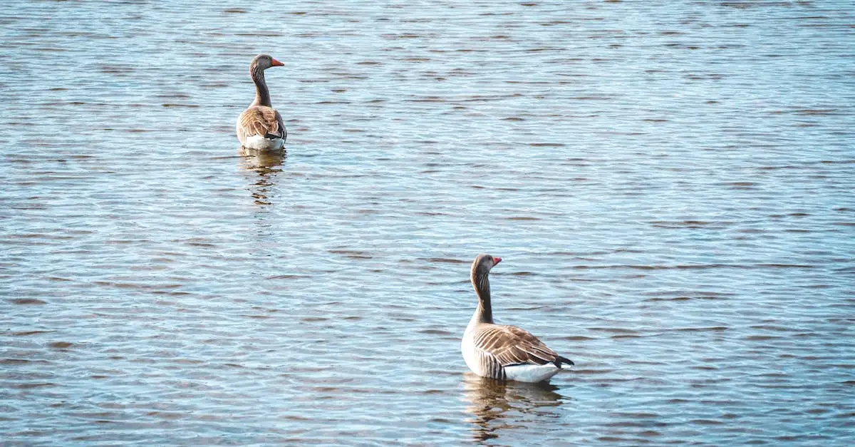 Qual è la regione che ospita il Parco Nazionale del Lago Nakuru?