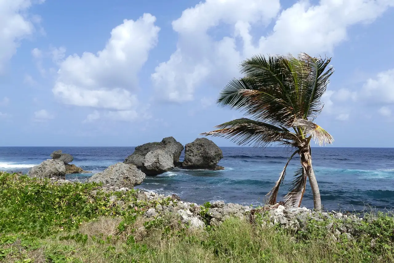 Qual è la storia di Grenada in sintesi?
