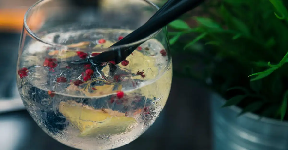Quale gin abbinare al tonico al fior di sambuco?