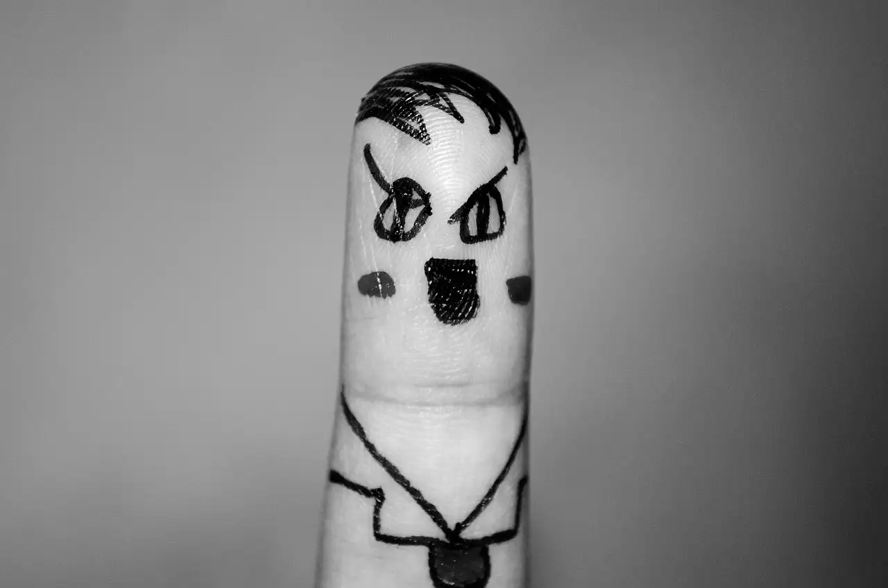 Quali furono i passi di Hitler per conquistare il potere?
