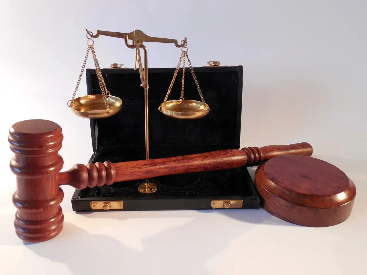 Quali sono i principali contributi di Roma al diritto?