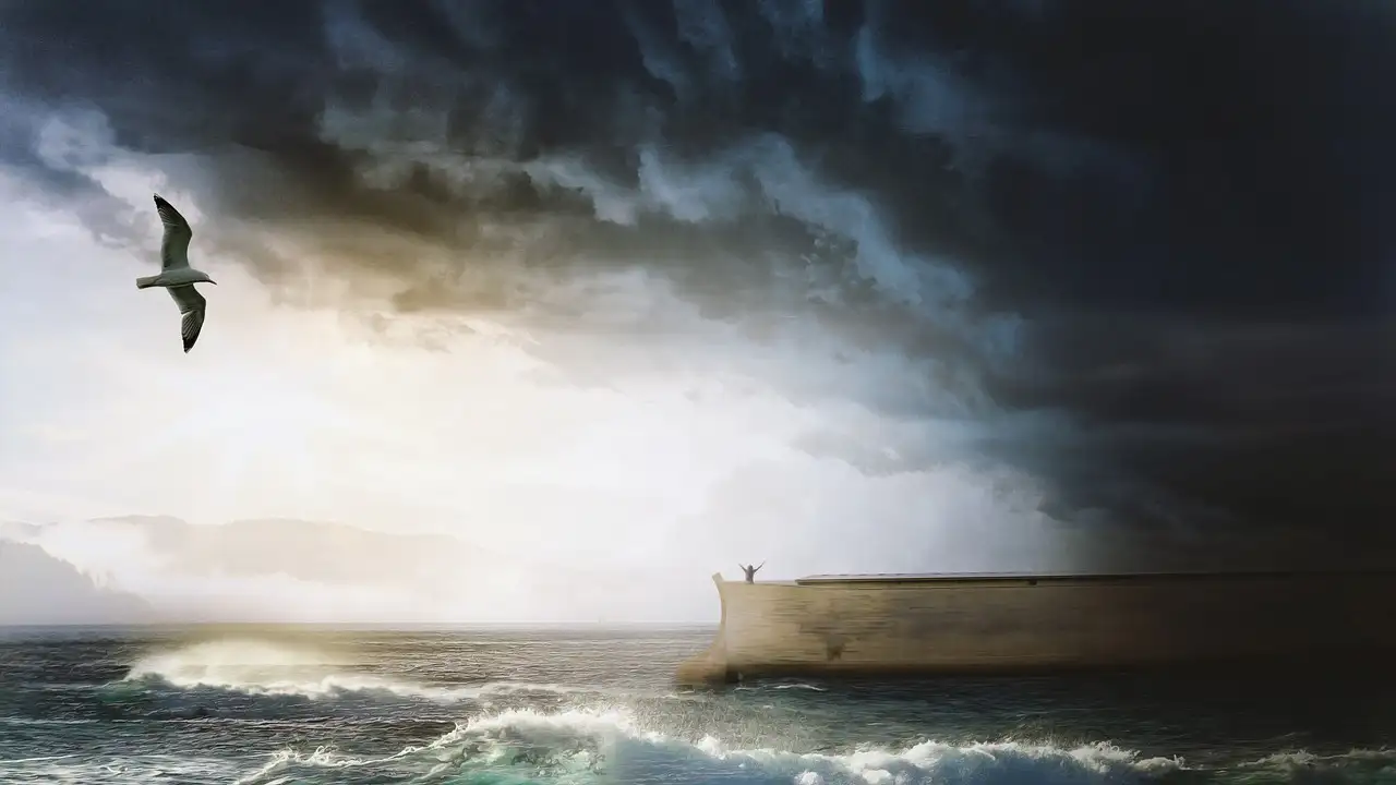 Quali sono le regole di Ark Nova? Scoprile subito!