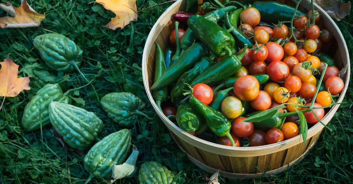 Quali verdure abbinare al pesce in casseruola?
