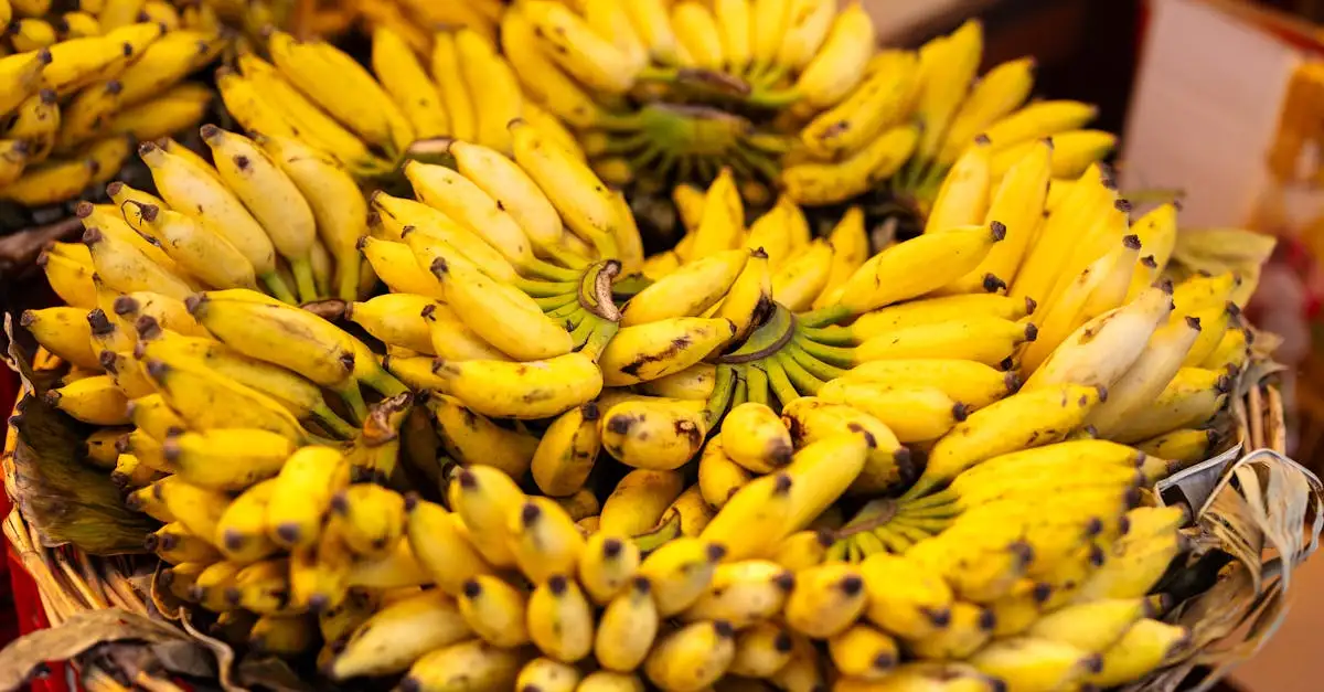 Quali vitamine aiutano contro il glaucoma? Scopri di più!