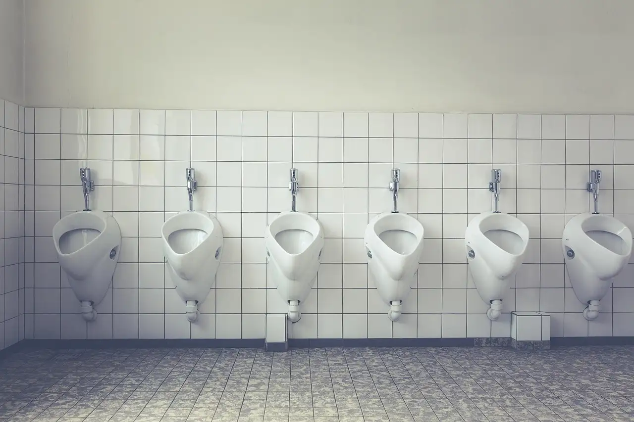 Quanti Skibidi Toilet Sigma Esistono Realmente?
