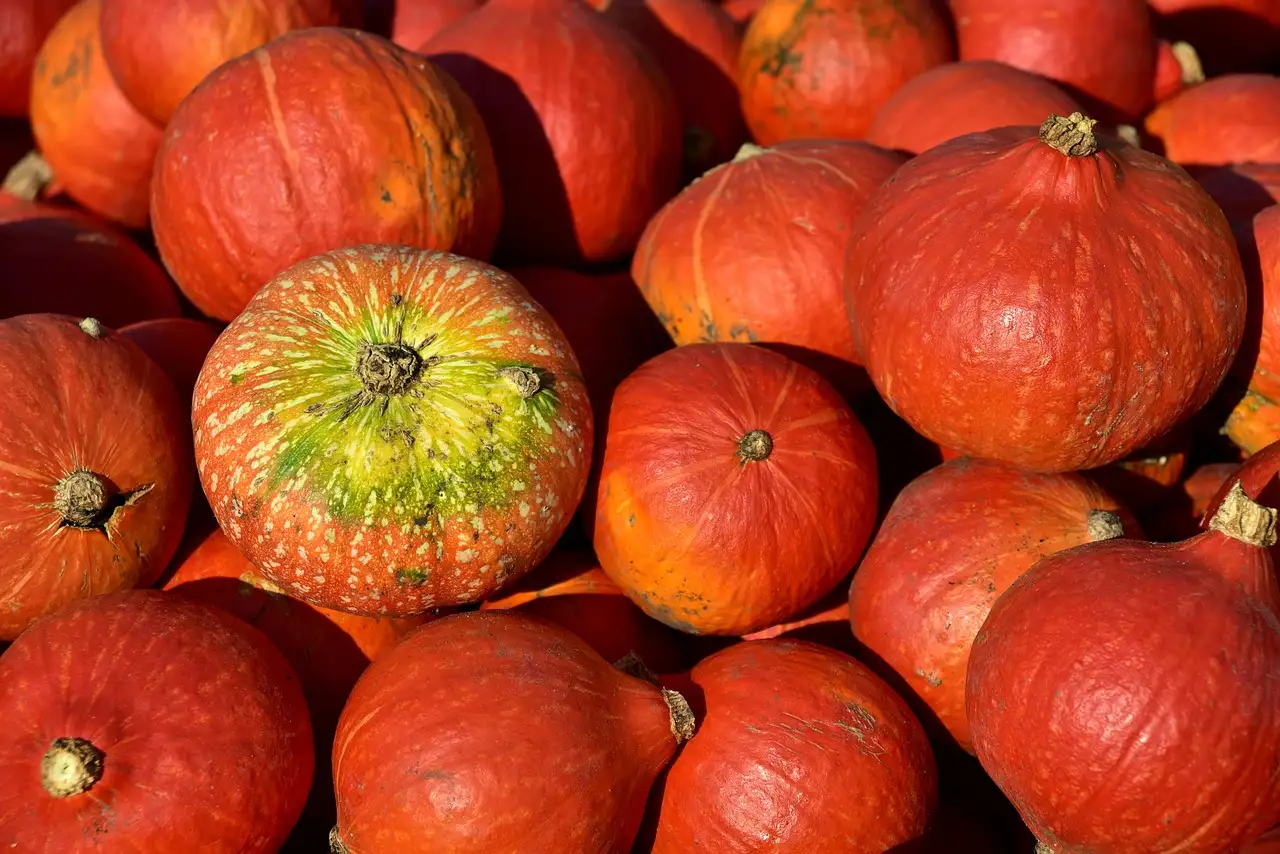Quanto tempo deve cuocere la zucca per essere perfetta?