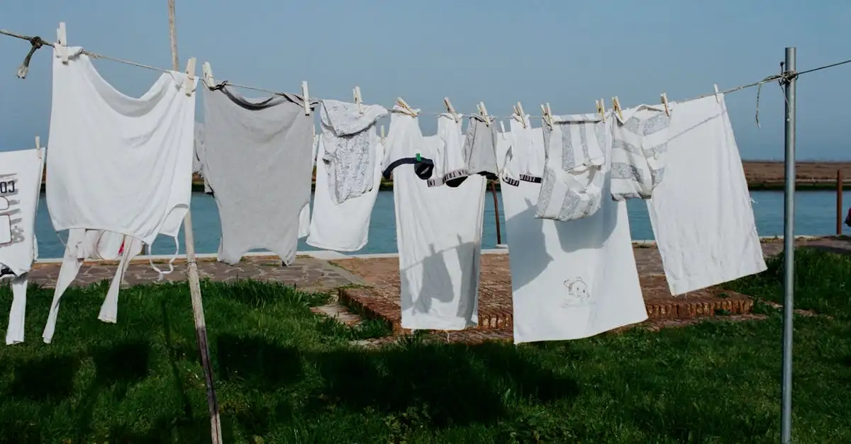 Come lavano gli egiziani i vestiti nel Nilo?
