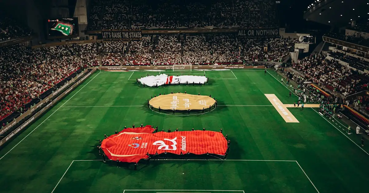 Dove si trova lo stadio dell'Olympique Lyonnais a Lione?