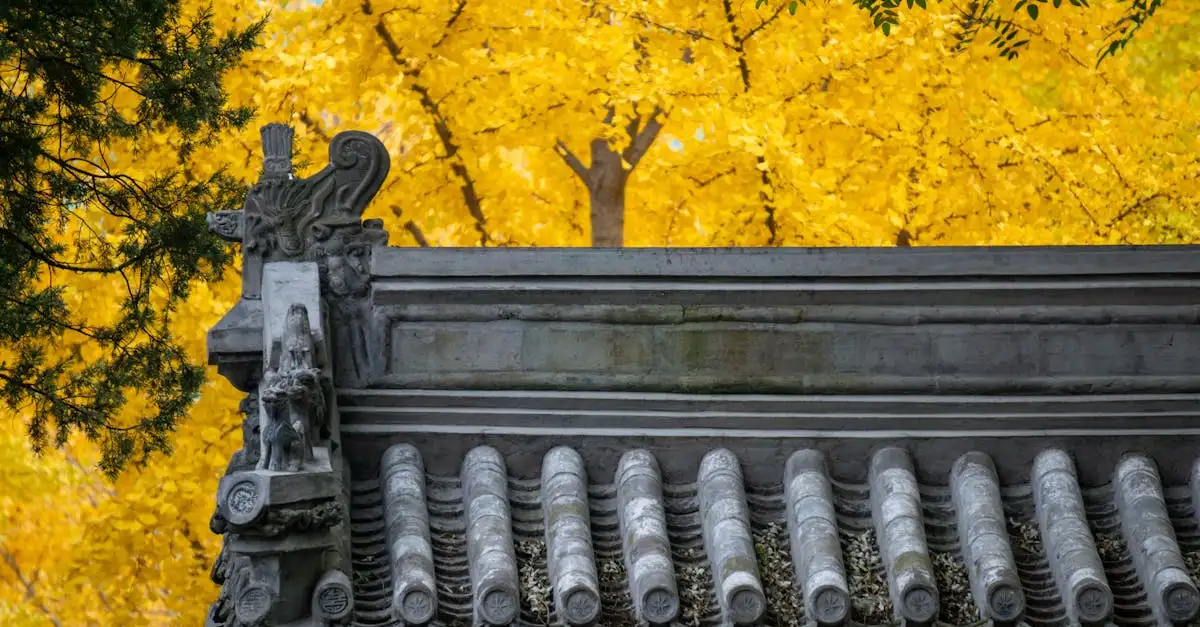 Ginkgo Biloba: Quali sono i suoi benefici per la salute?
