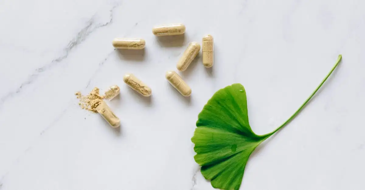 Ginkgo Biloba: Quali sono i suoi benefici per la salute?