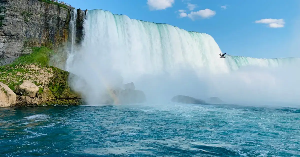 Perché il Lago Erie è fondamentale per l'acqua dolce?