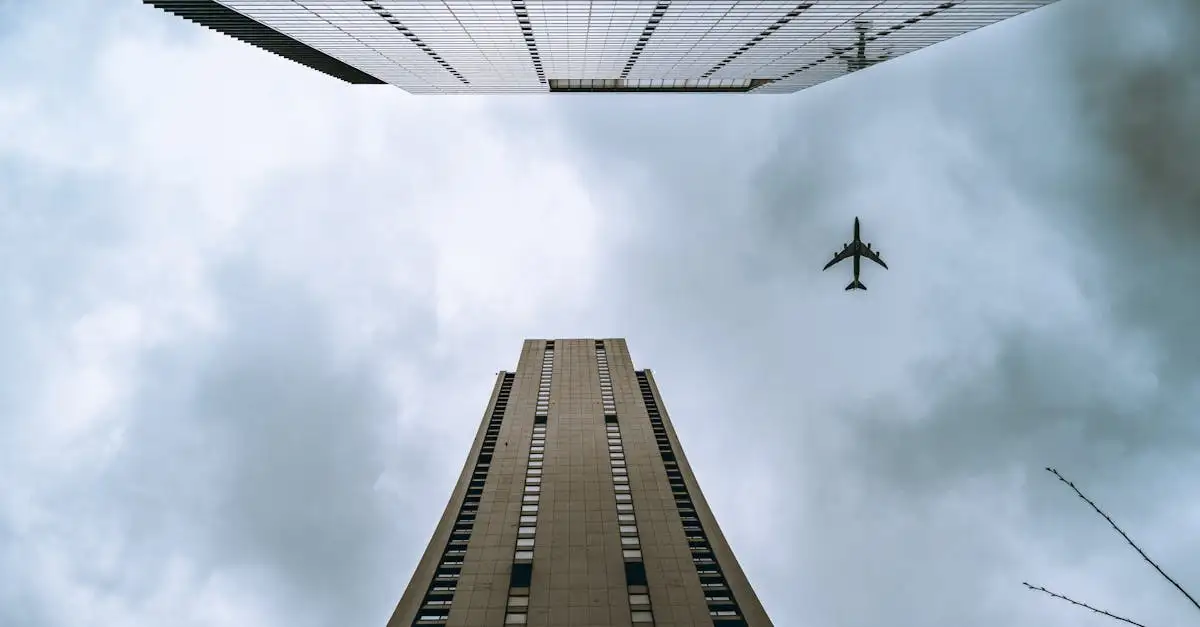 Perché le ali degli uccelli sono ideali per volare?