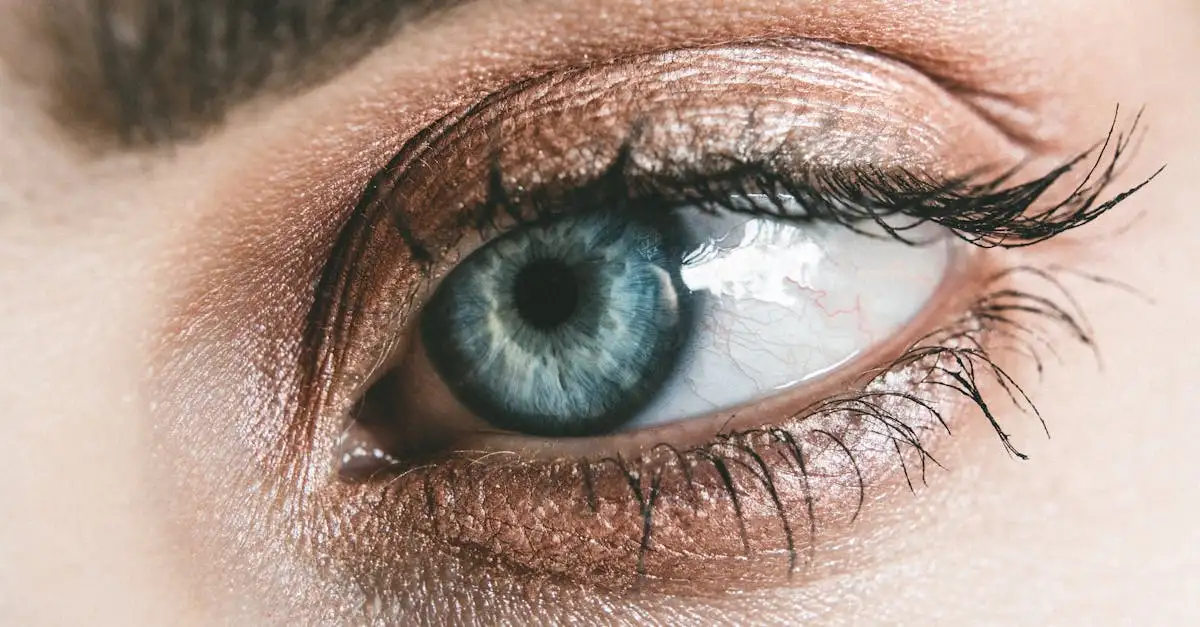 Qual è il miglior ombretto per occhi blu-grigi?
