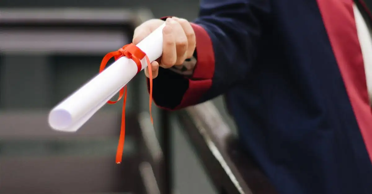 Qual è il percorso formativo per lavorare in dogana?