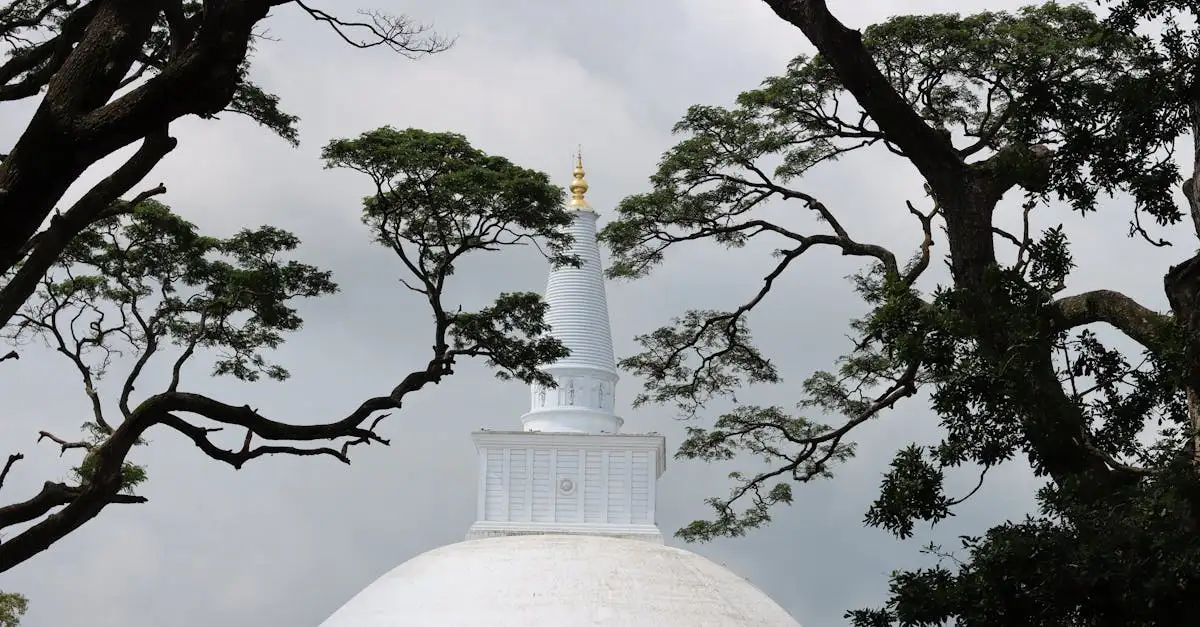 Qual è il ruolo di Anuradhapura nel buddhismo?