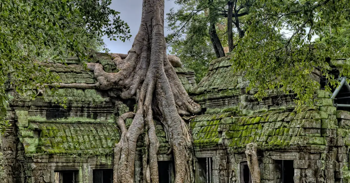 Qual è il tempio cambogiano dedicato a Vishnu?