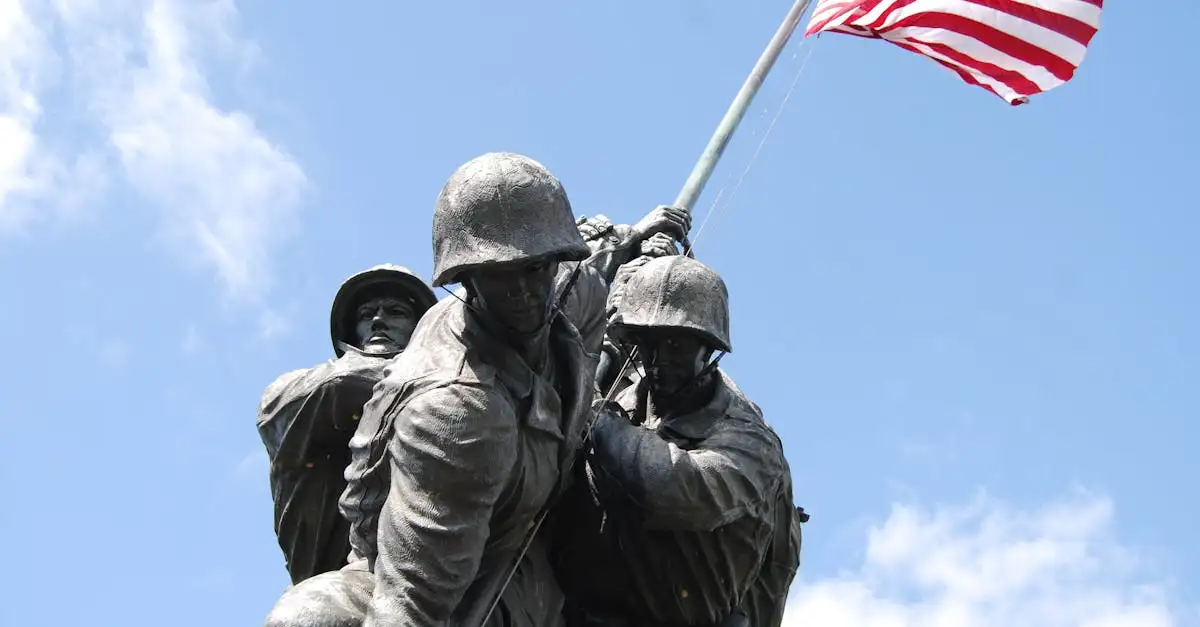 Qual è la storia concisa della Virginia in poche righe?