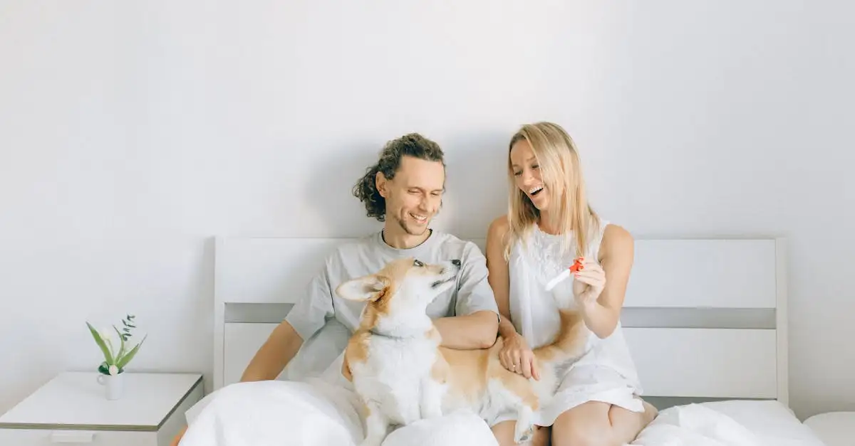 Qual è l'animale domestico ideale per te?