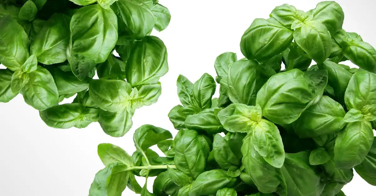 Quali verdure abbinare alla pasta al pesto?