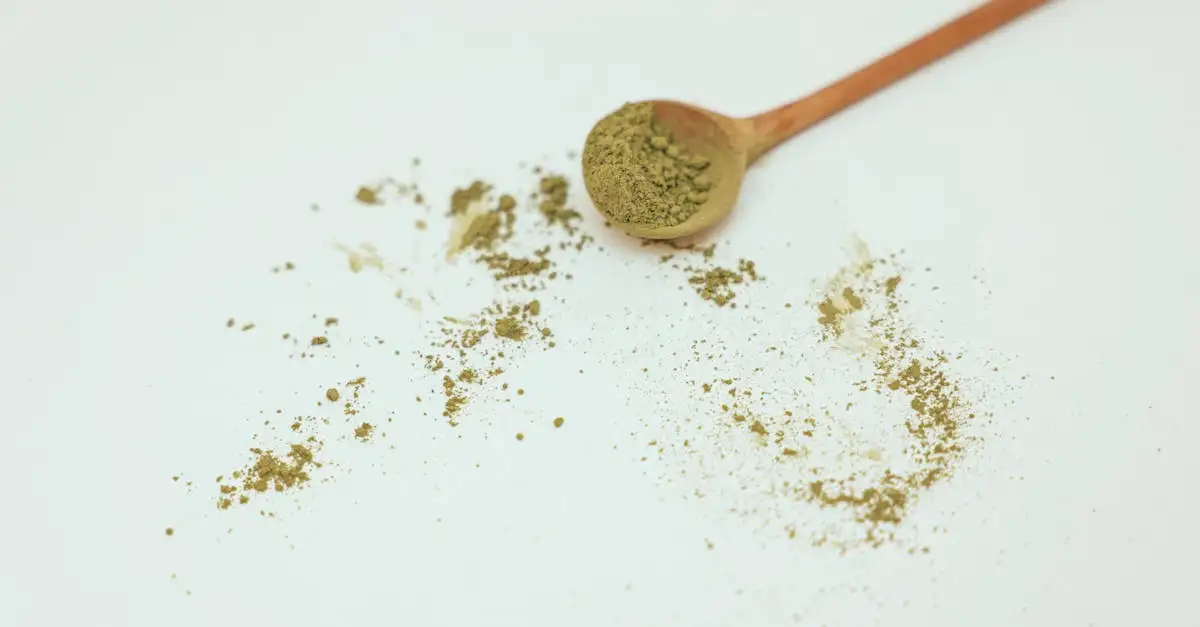 Tisana di Stellaria: Quali sono i suoi benefici per la salute?