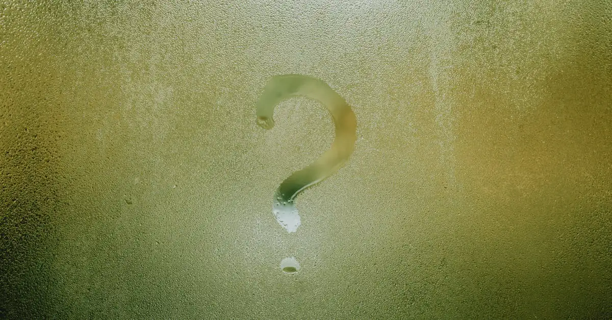 Qual è il significato di Anjo? Scoprilo qui!