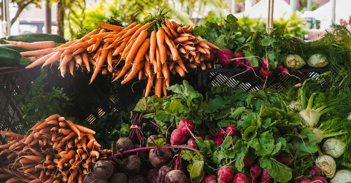 Quali verdure piantare insieme nell'orto per migliori raccolti?