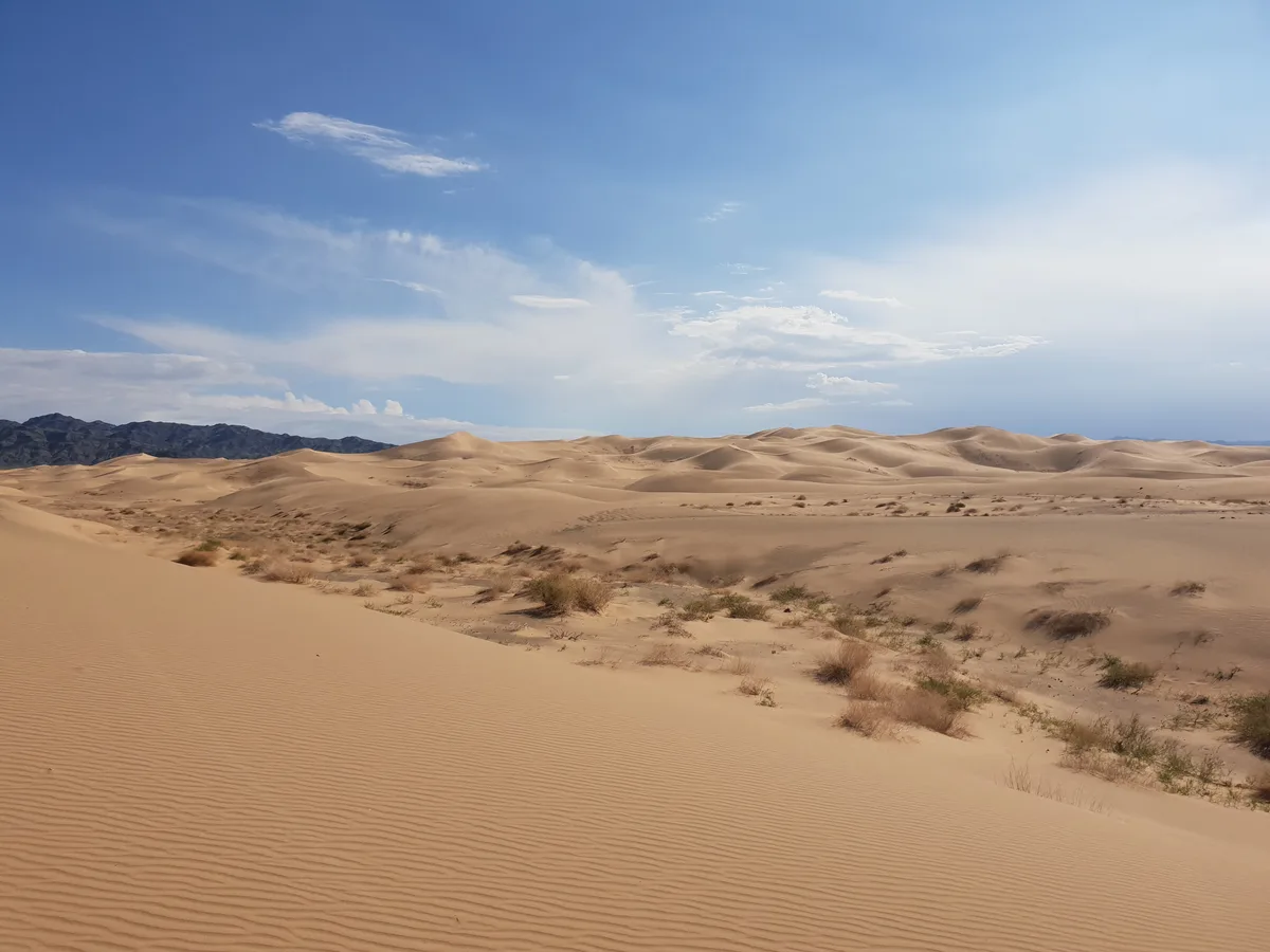 Deserto del Gobi